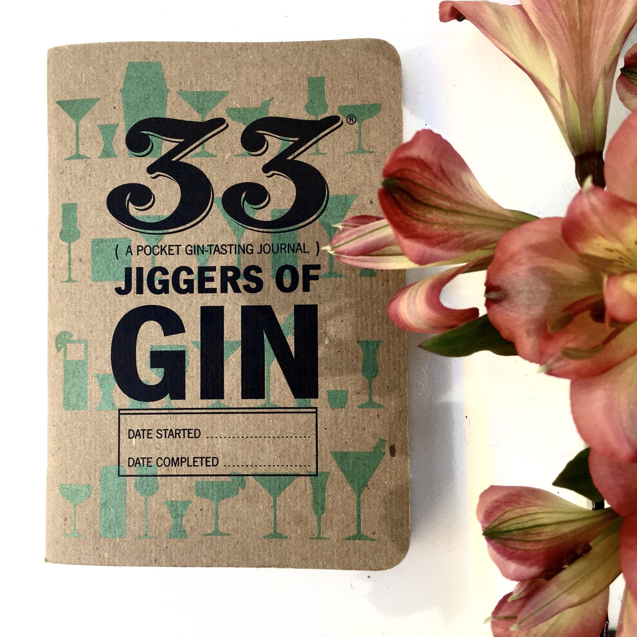 33 Jiggers of Gin Journal - Image 2